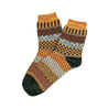 Colourful Socks Bright - Curve Gear